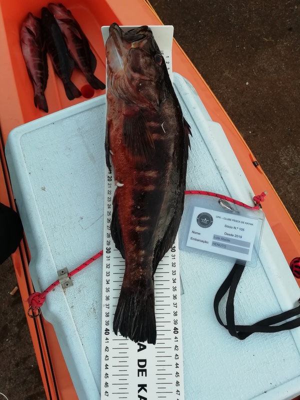 Fish Measure Picture